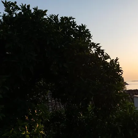 Anamarija Tatil Evi Cavtat